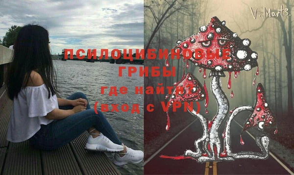 шишки Абдулино