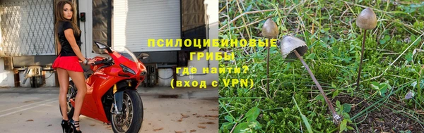 Альфа ПВП Абаза